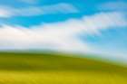 USA-Washington State-Palouse Pullman Green wheat fields and blue sky Art Print